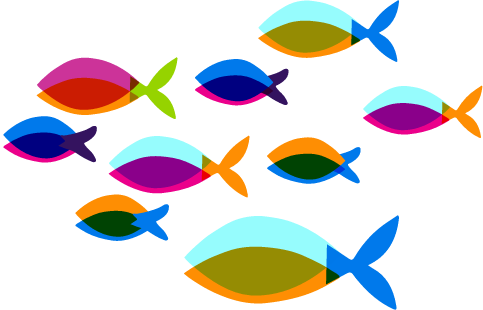 Colour school of fish.